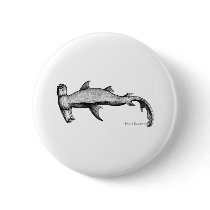 From the Sharks Collection