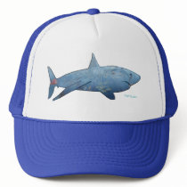 From the Sharks Collection