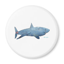 From the Sharks Collection