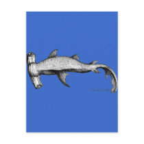 From the Sharks Collection