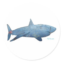 From the Sharks Collection