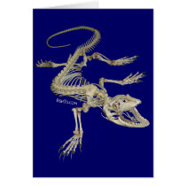 From the Skulls Collection