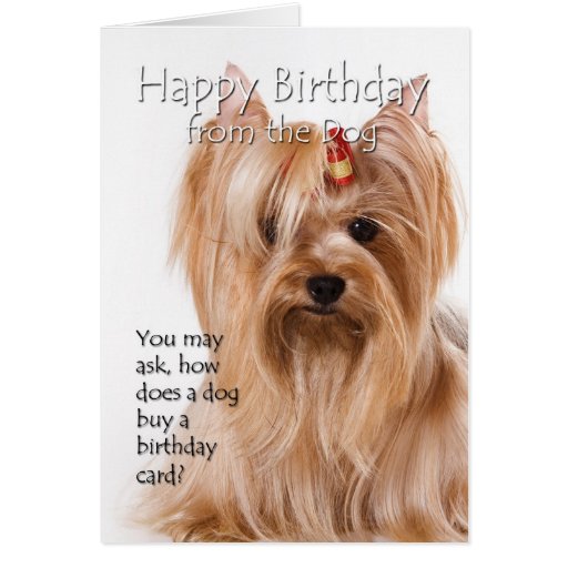 yorkie merchandise yorkie gifts t shirts posters other gift ideas zazzle yorkie merchandise yorkie gifts t shirts posters other gift ideas zazzle