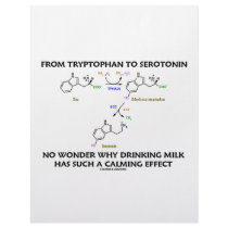 From Tryptophan To Serotonin (Chemistry Humour)