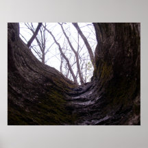 From Within Poster