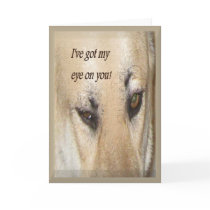 From your Secret Pal