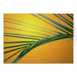 Frond at sunset greeting cards