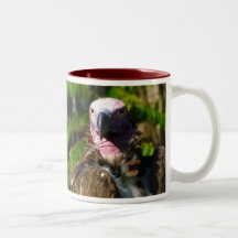 Front Facing Turkey Vulture Closeup Mugs