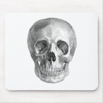 Frontal view drawing of a human skull