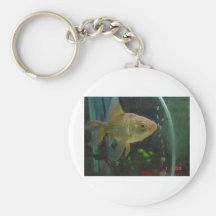 FrontViewGreenGoldFish009 040 Keychains