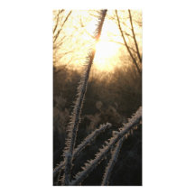Frost Custom Photo Card