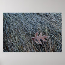 Frost Leaf Poster