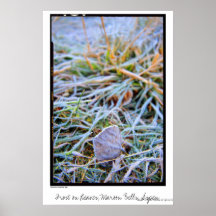 Frost on Leaves, Maroon Bells, Aspen Poster