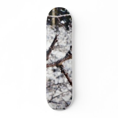 Frost On Tree Twig Skateboards by lifesphere