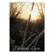 Frost Sympathy Greeting Cards