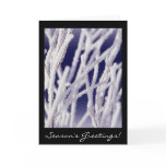 Frosted Branch Black and White Christmas Card