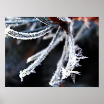 Frosted Pine Pt. 2 Print