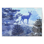 Frosty Forest Clearing Cards