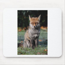 Frosty Fox Mousemats