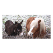 Frosty Friends Photo Greeting Card
