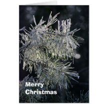 Frosty pine needles card