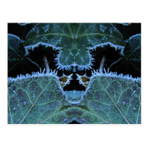 Frosty Reflection ~ postcard