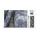 Frosty Riverbank Trees Postage