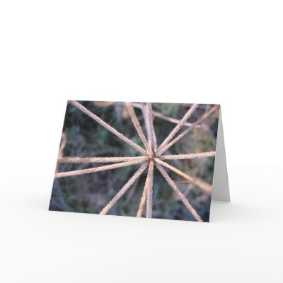 frosty star greeting cards by ickledink