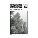 Frosty Tree Postage