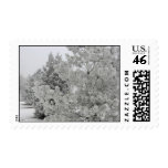 Frosty Trees Postage