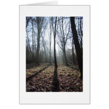 Frosty wood cards