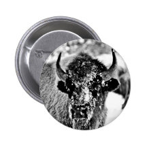Frosty Yellowstone Bison Pinback Button