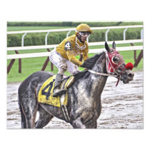 Frothy Market in the Mud at Saratoga Photo Art