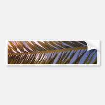 Fround In The Sky Bumper Sticker