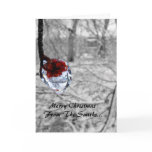 Frozen Berries Holiday Card