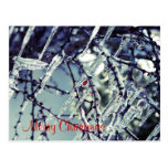 Frozen Berry Christmas Postcard