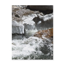 Frozen Bridge Post Card