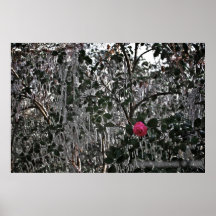 Frozen Colour Print