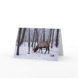 Frozen Forest Card