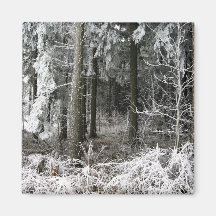frozen forest magnets