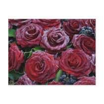 frozen roses post card