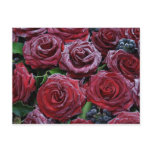 frozen roses postcards