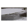 Frozen stream in New Forest Customized Photo Card