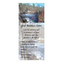 Frozen Wetlands Pond Full Colour Rack Card