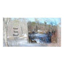 Frozen Wetlands Pond Photo Greeting Card