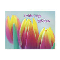Frühlingsgrüsse Postkarte