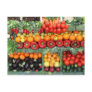 Fruit and Food Postcard 20