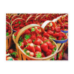 Fruit and Food Postcard 4