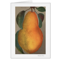 Fruit Chromo Lithograph of Bartlett Pear Cards