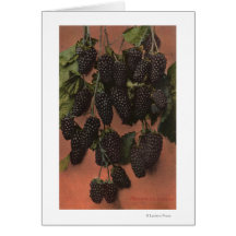 Fruit Chromo Lithograph of Mammoth Greeting Cards